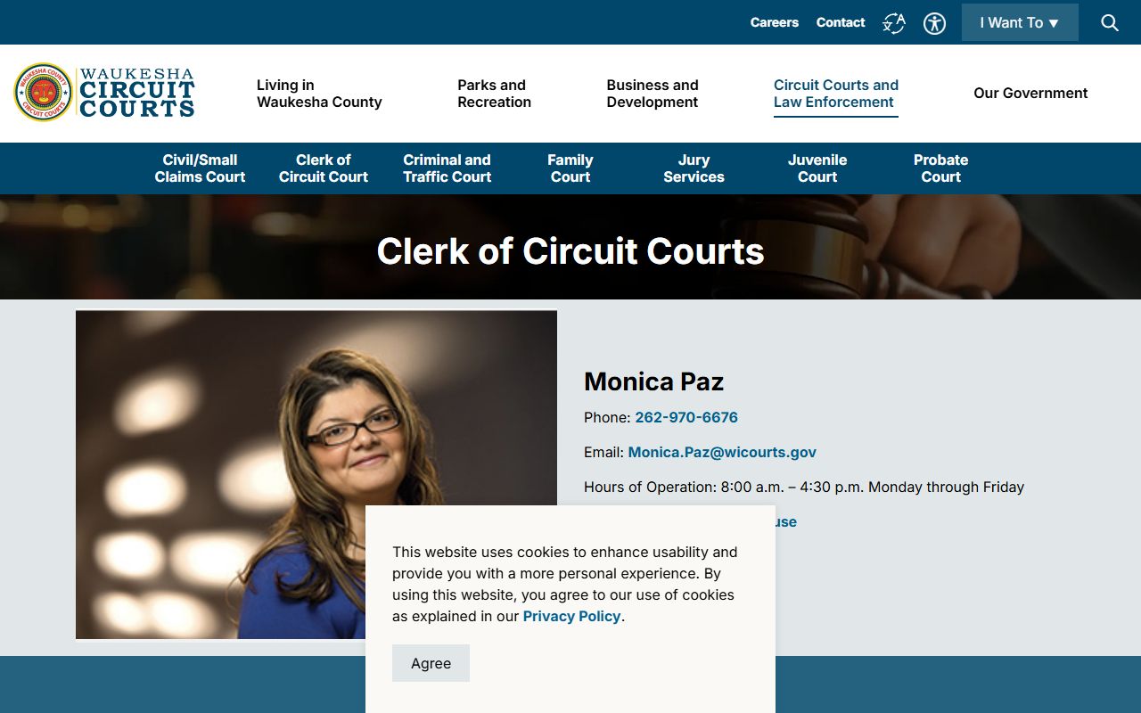 Waukesha County Recent Arrests clerk of circuit court image